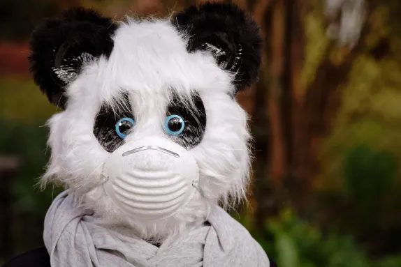 كازينو مارس بيت الدعم